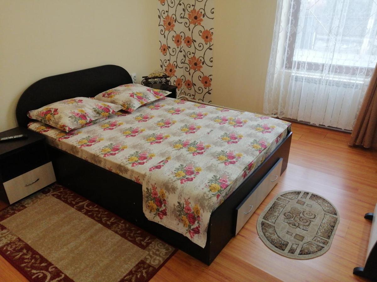 מלון Haţeg Casa Ovi Si Simo מראה חיצוני תמונה