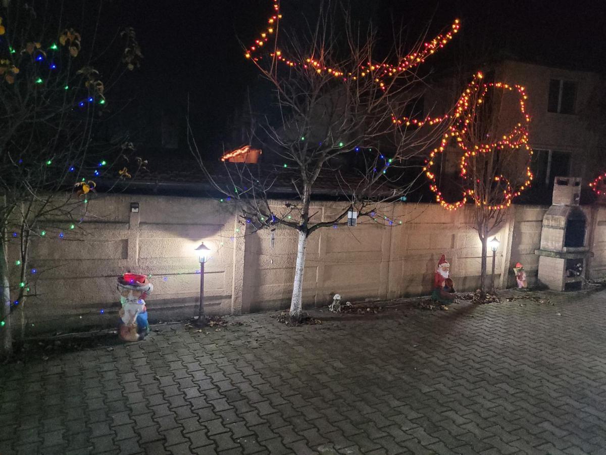 מלון Haţeg Casa Ovi Si Simo מראה חיצוני תמונה