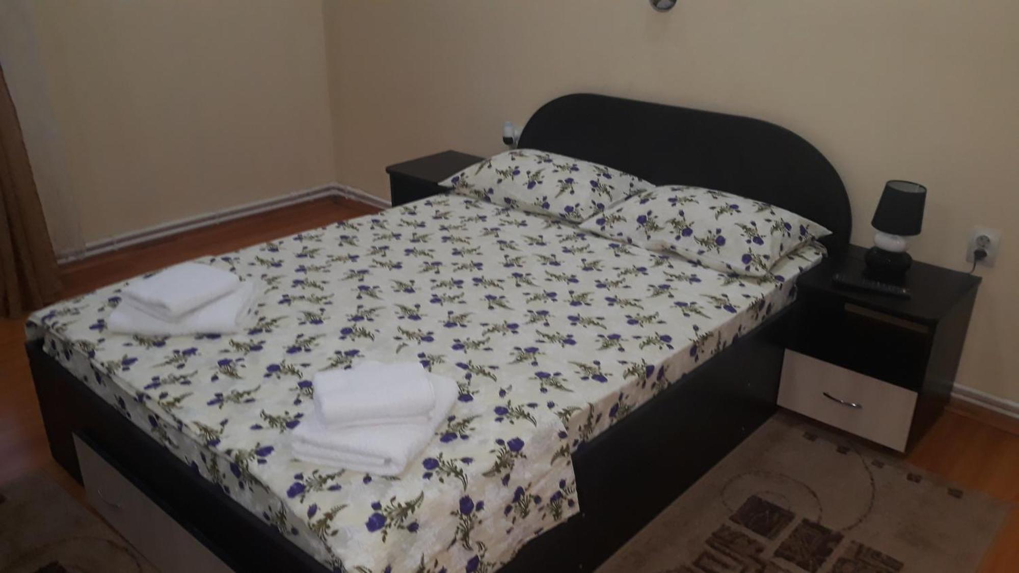 מלון Haţeg Casa Ovi Si Simo חדר תמונה