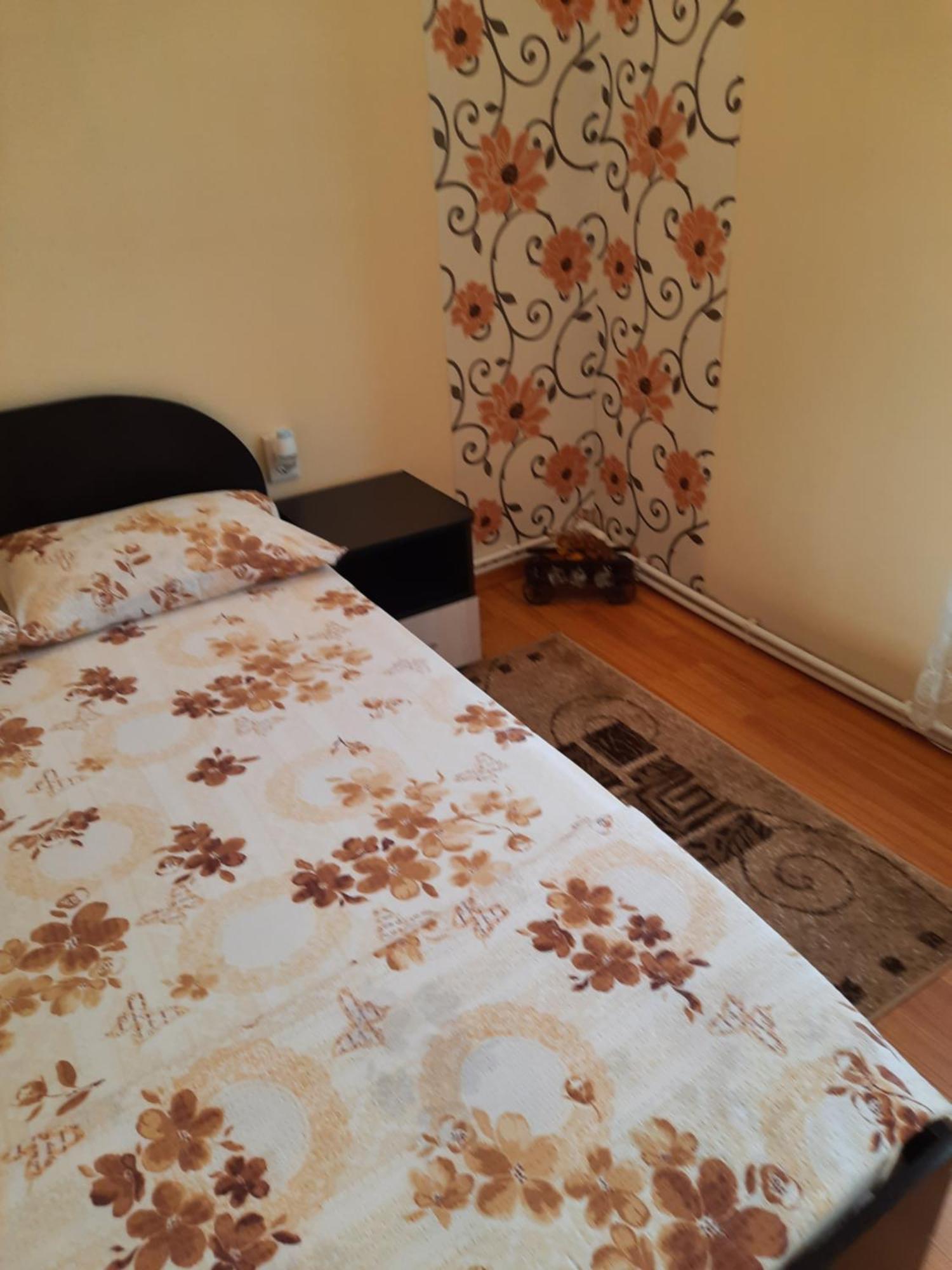 מלון Haţeg Casa Ovi Si Simo חדר תמונה