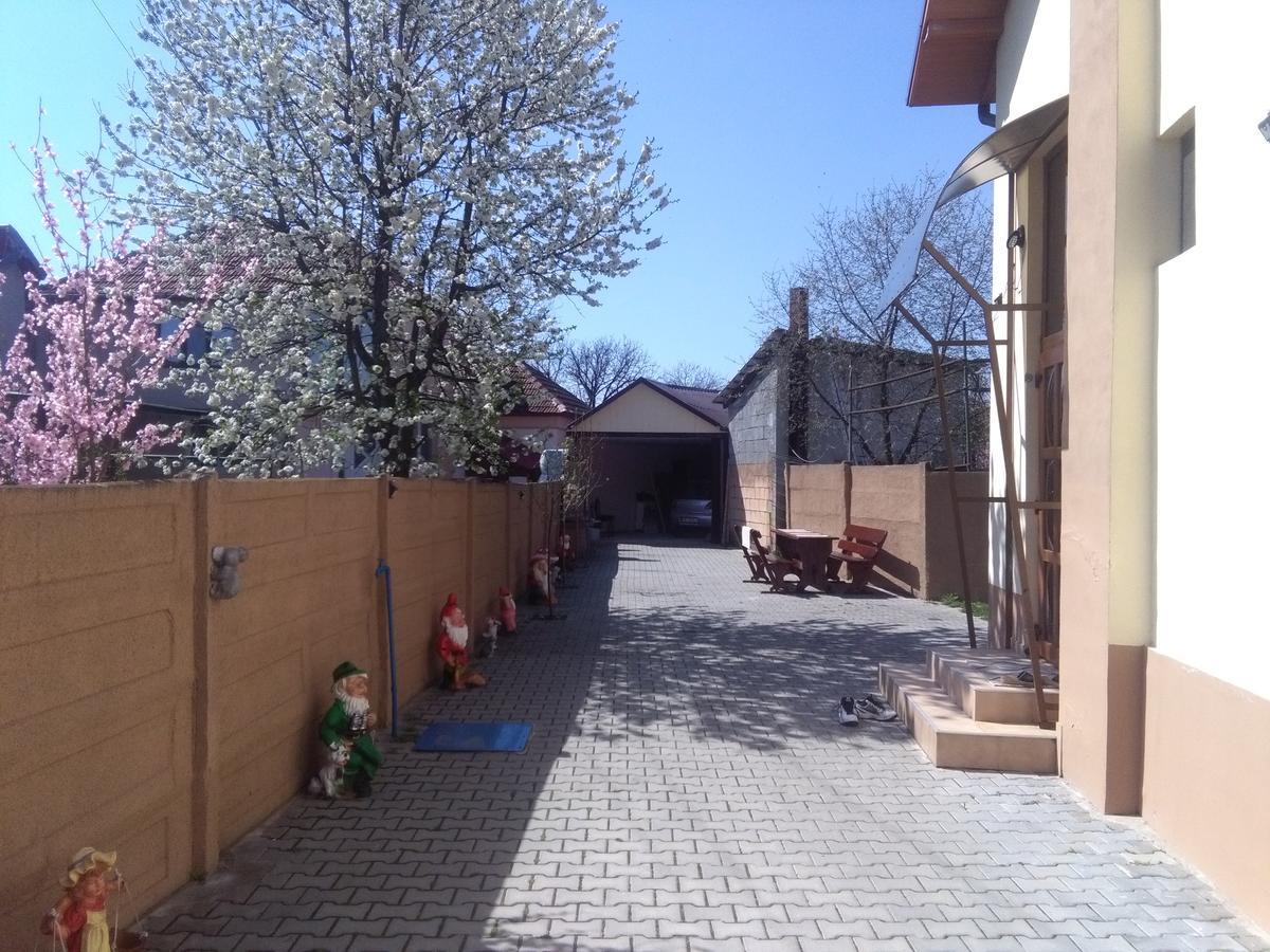 מלון Haţeg Casa Ovi Si Simo מראה חיצוני תמונה