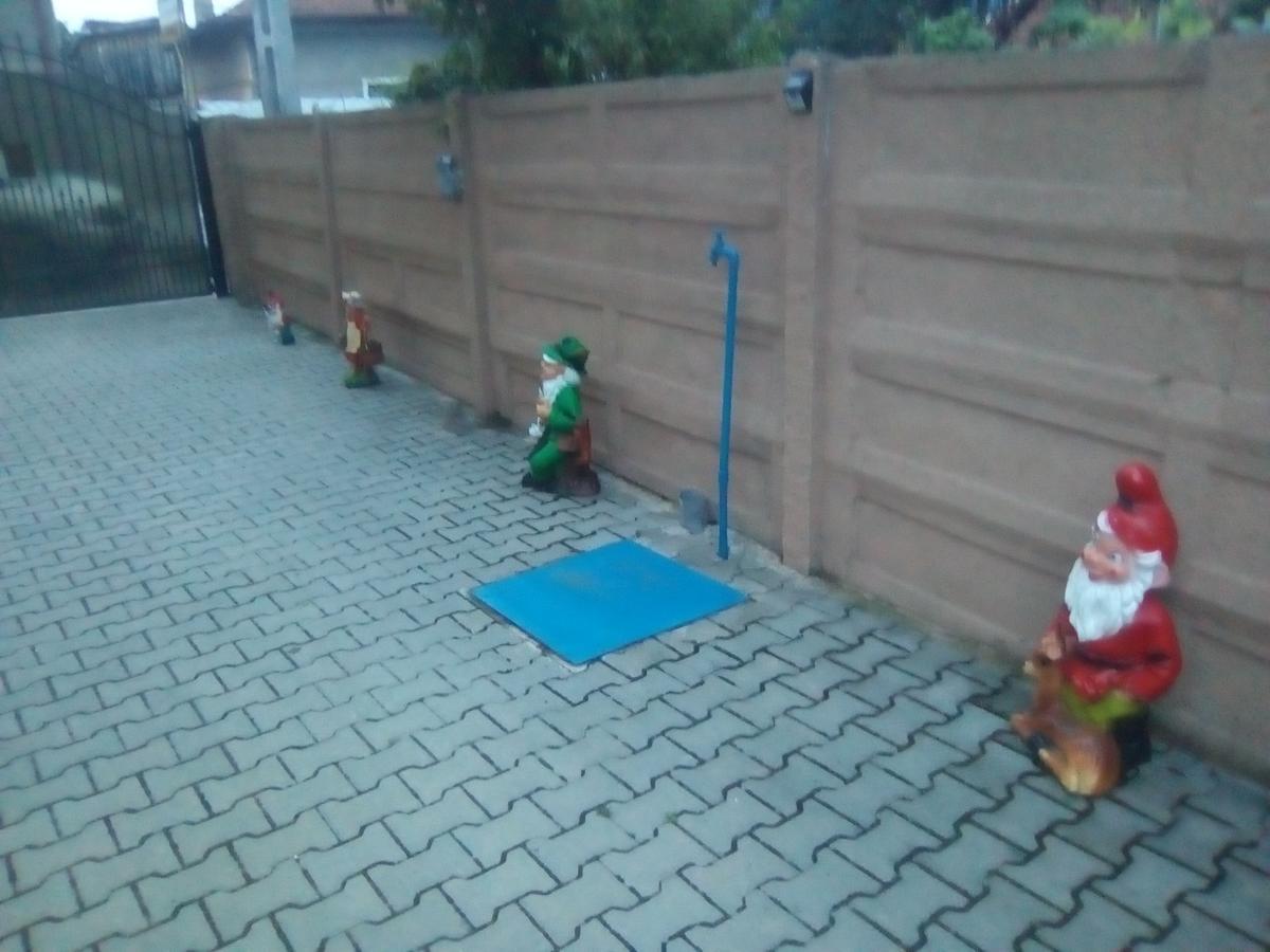 מלון Haţeg Casa Ovi Si Simo מראה חיצוני תמונה
