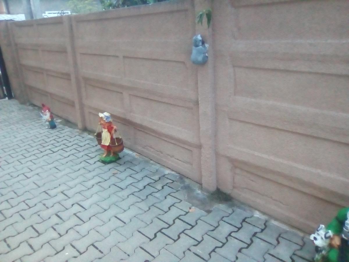 מלון Haţeg Casa Ovi Si Simo מראה חיצוני תמונה
