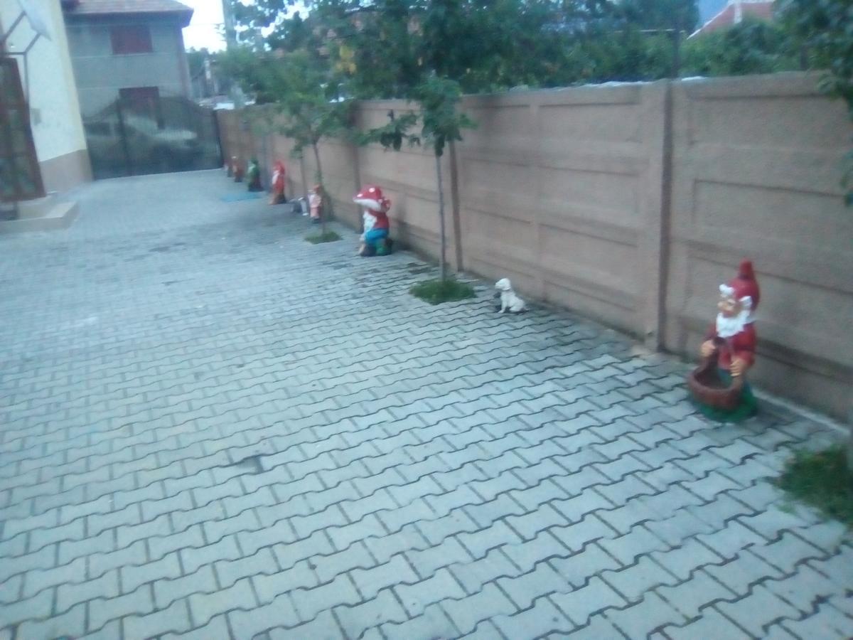 מלון Haţeg Casa Ovi Si Simo מראה חיצוני תמונה