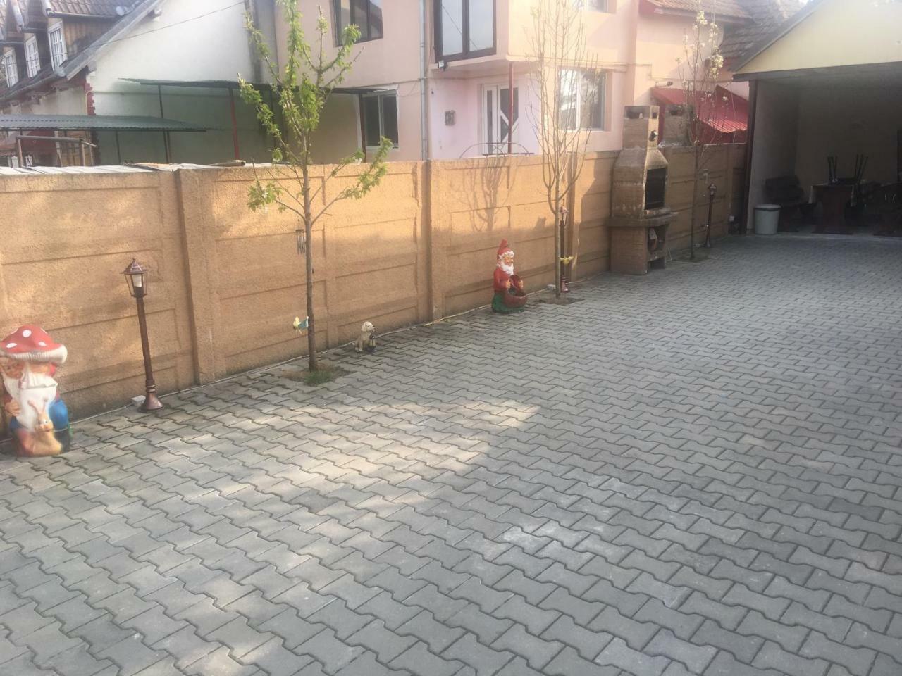 מלון Haţeg Casa Ovi Si Simo מראה חיצוני תמונה