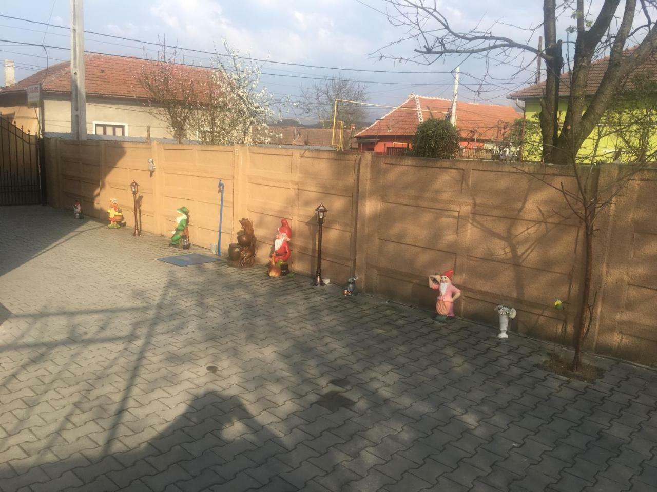 מלון Haţeg Casa Ovi Si Simo מראה חיצוני תמונה