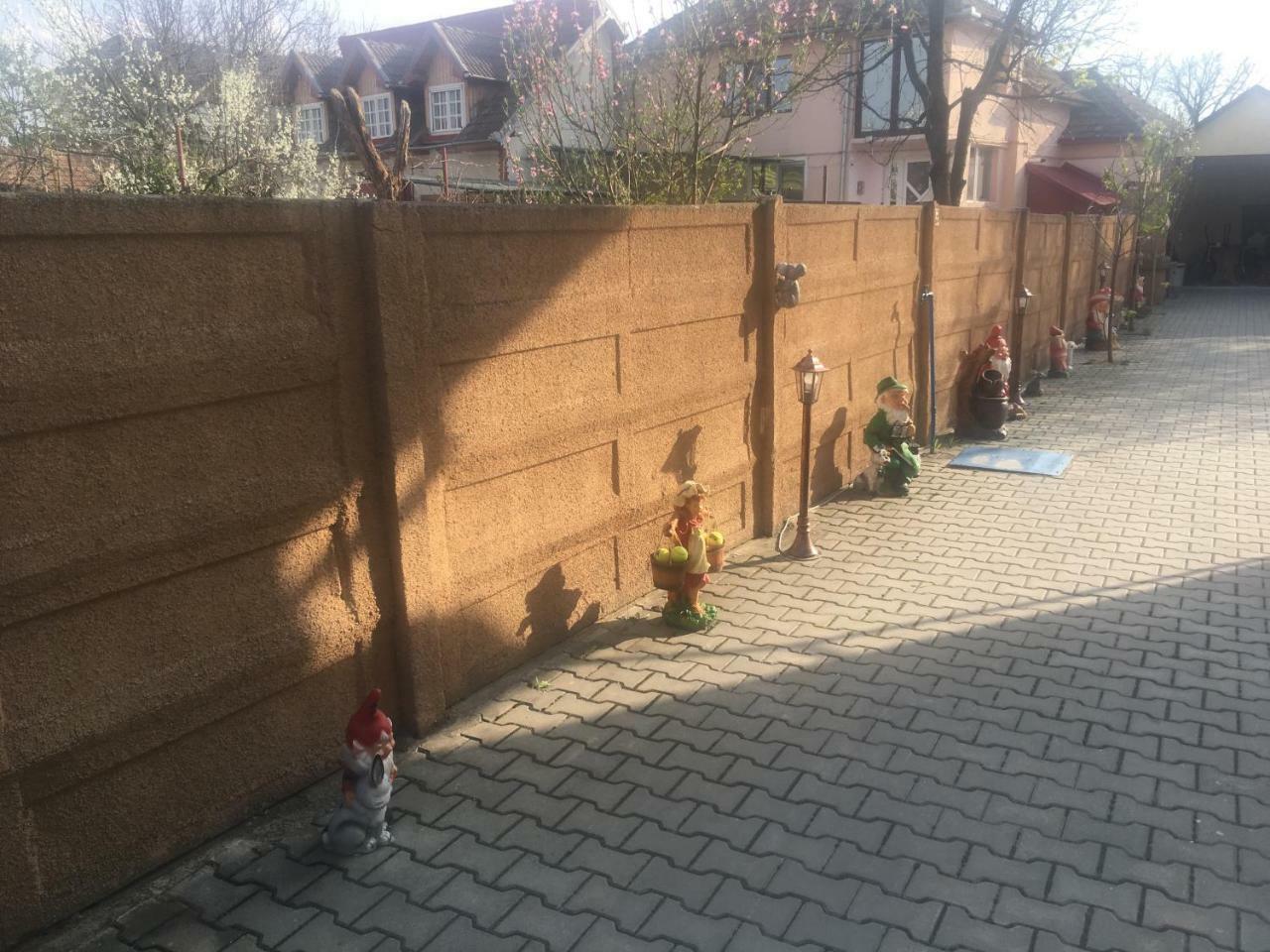 מלון Haţeg Casa Ovi Si Simo מראה חיצוני תמונה