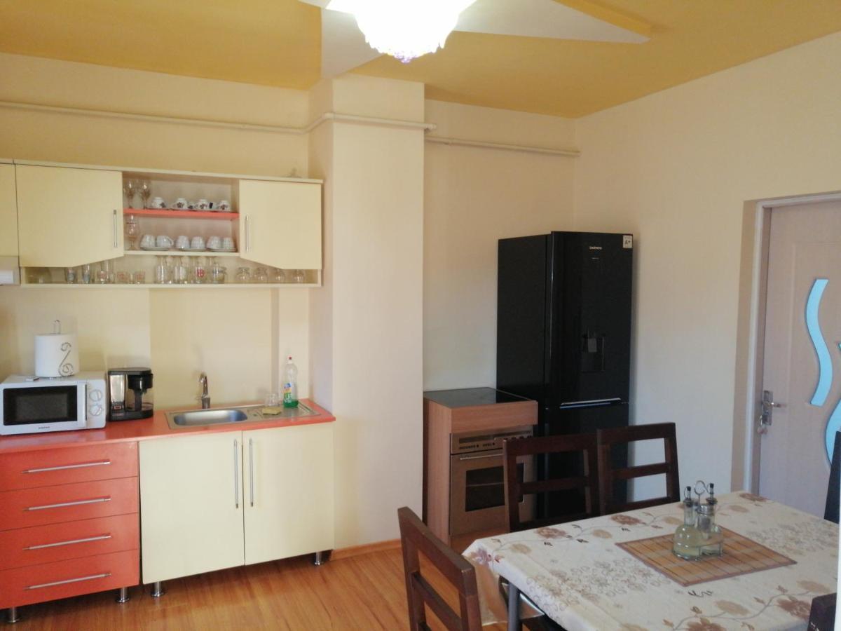 מלון Haţeg Casa Ovi Si Simo מראה חיצוני תמונה